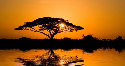 beautiful_african_sunrise_reflected_on_lake_with_backlit_acacia_tree_on_amboseli_natural_park_1_hero
